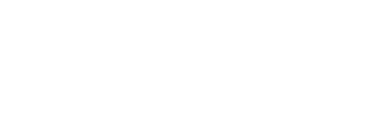 The O´Reilly´s and the Paddyhats Folkfieldfestival